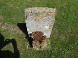 image of grave number 269760